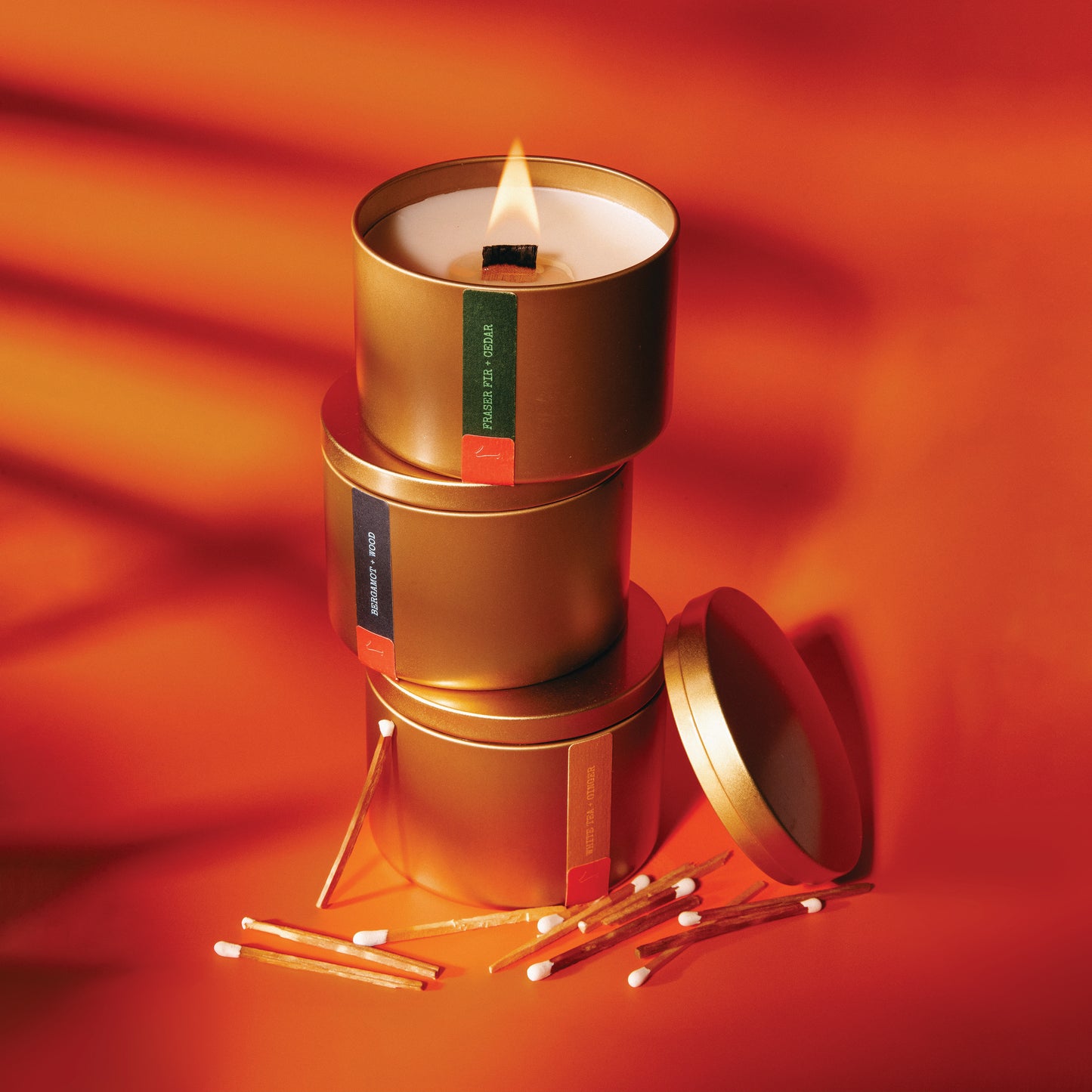 DISCOVERY SET | FALL 2025